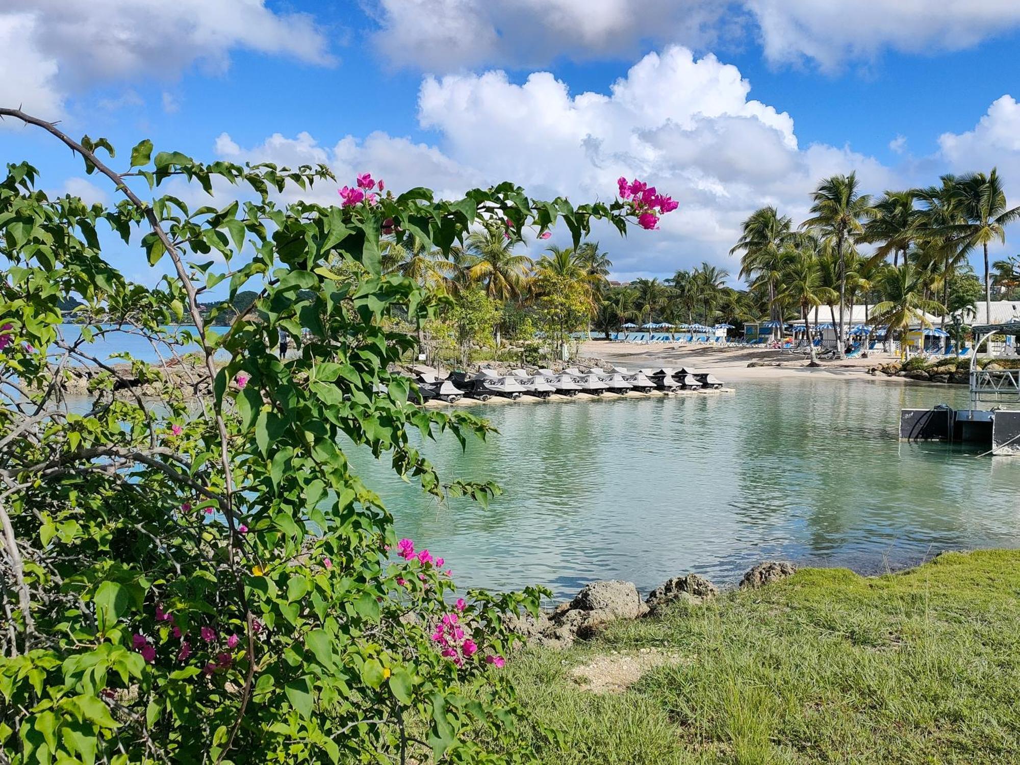 Studio Vue Mer, Pieds Dans L'Eau Le Gosier  Ngoại thất bức ảnh